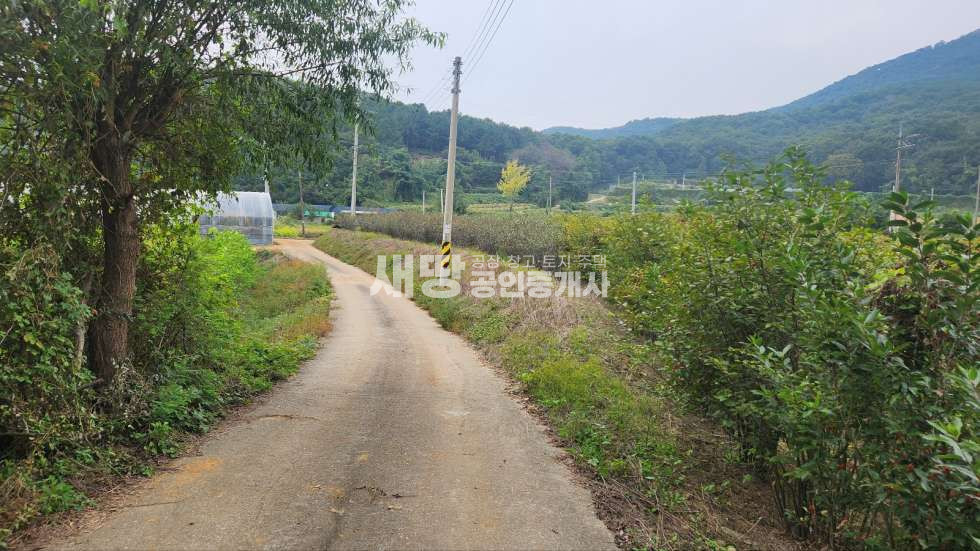 경기 화성효행구 비봉면 청요리 주말농장용 전 247평 매매 매물번호 10068 사진 5
