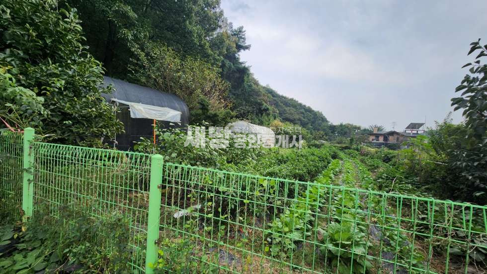 경기 화성효행구 비봉면 청요리 주말농장용 전 247평 매매 매물번호 10068 사진 8