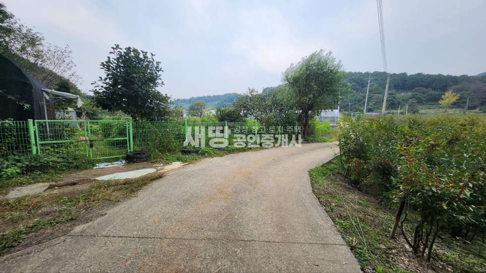 경기 화성효행구 비봉면 청요리 주말농장용 전 247평 매매 매물번호 10068 사진 9
