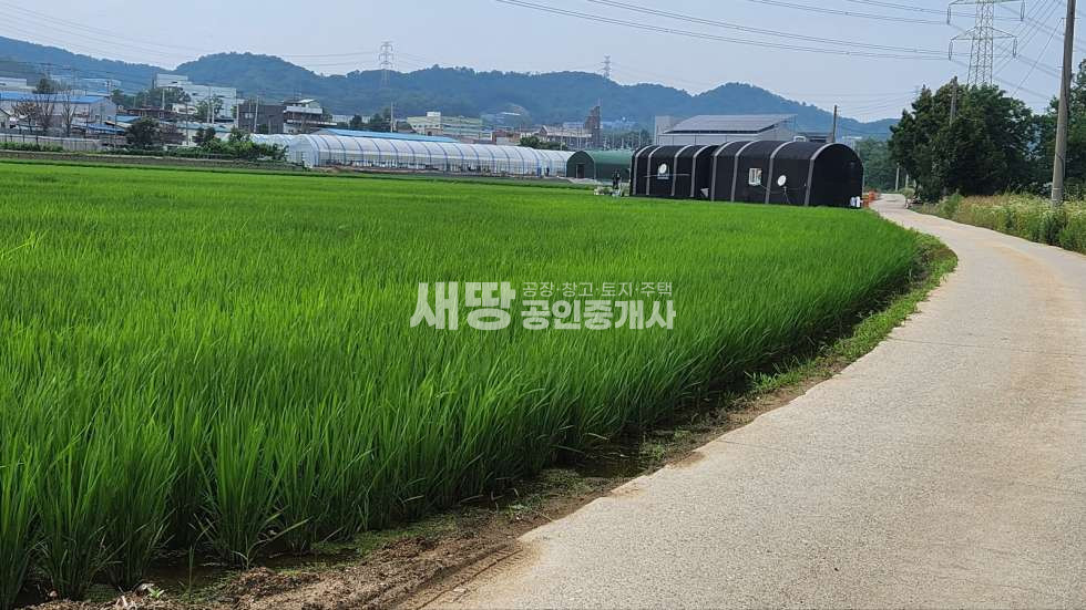 경기 화성효행구 비봉면 자안리 화훼,대토용 적합농지 매매 매물번호 10010 사진 6