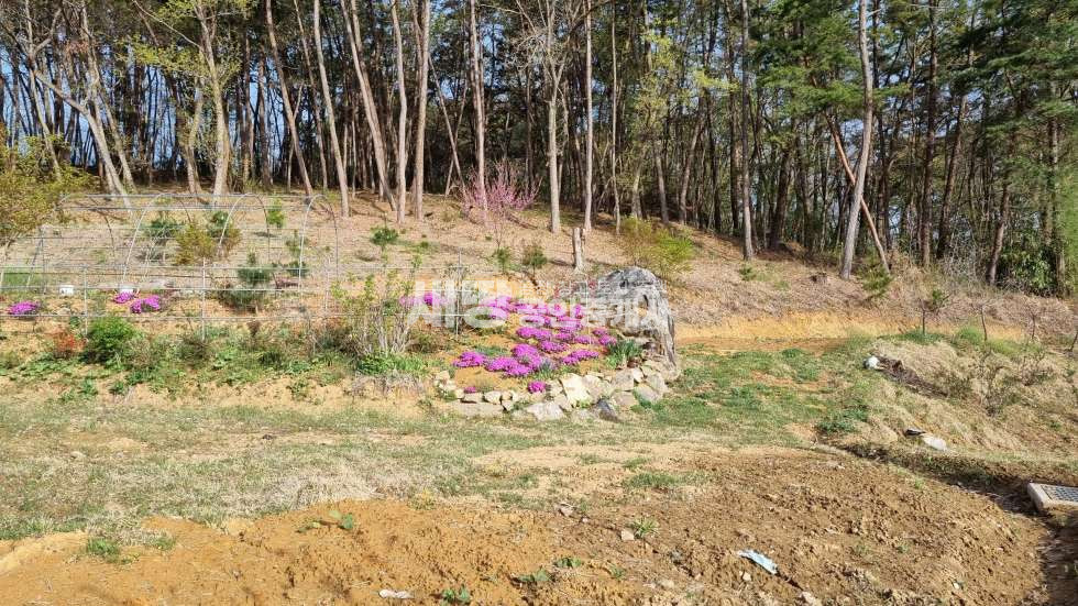 충남 서천군 서천읍 두왕리산18-1 전기,수도,오수관로 설치된 계획관리 전원주택지 매매 매물번호 10118 사진 1