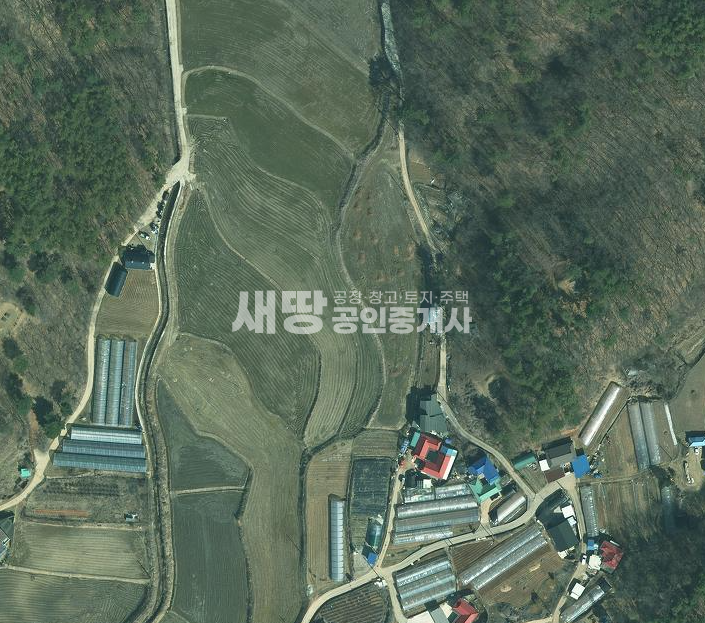경기 화성효행구 비봉면 자안리 저렴한 농사용 답 매매 매매 매물번호 10164 사진 1